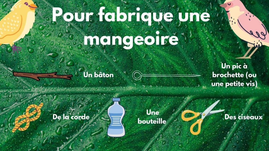 Ustensiles pour construire sa mangeoire à oiseaux faite maison