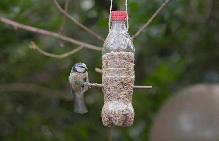 Activité écologique : construire une mangeoire à oiseaux- Blog Hydrao