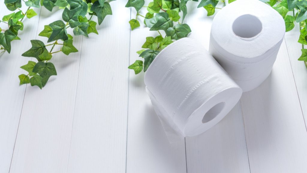 Economiser du papier toilettes et économies d'eau