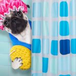 Faire pipi sous la douche écologique