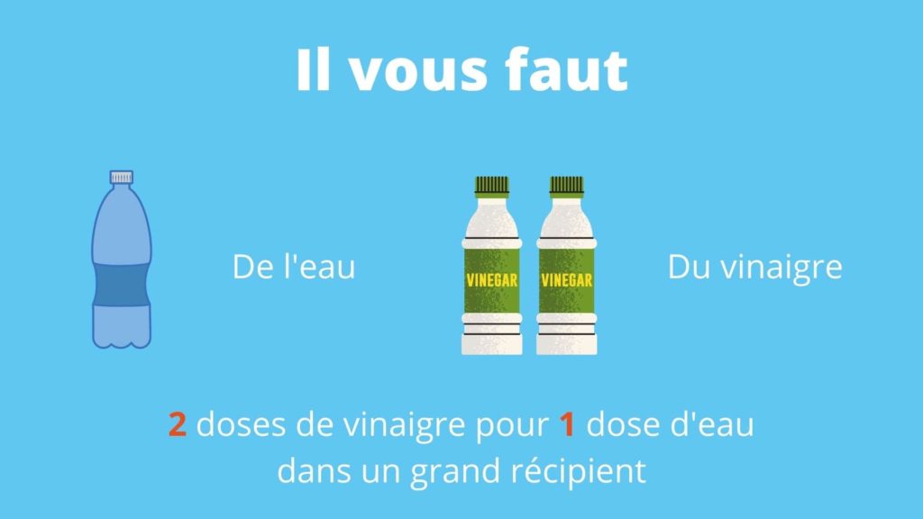 Ingrédients pour détartrer