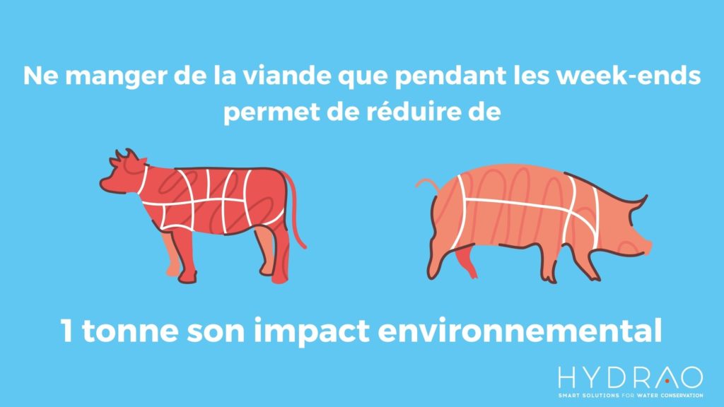 Impact environnemental réduction viande sur bilan carbone