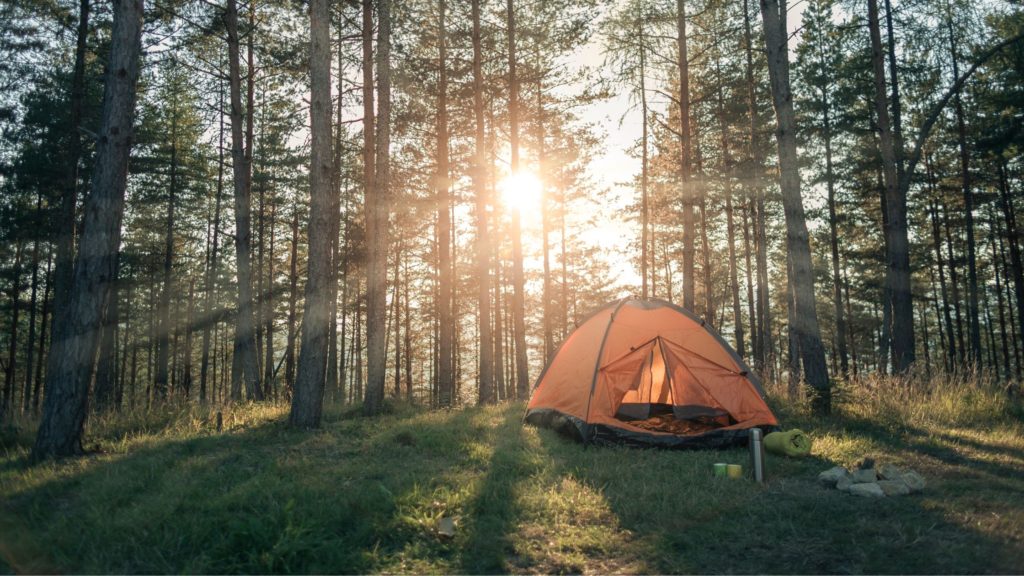 Campings écologiques pour les vacances