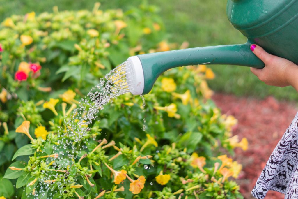 Les systèmes de récupération d’eau de pluie