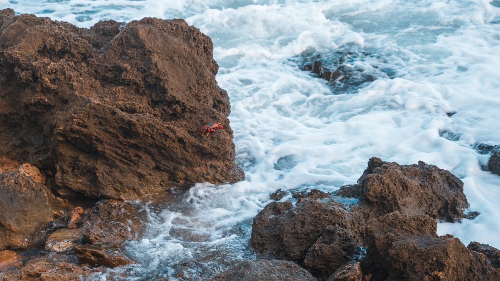 Pratiques de préservation de l'eau pour soutenir la journée mondiale de la mer du 28 septembre