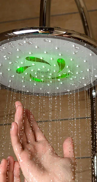 Yucca green rain sky